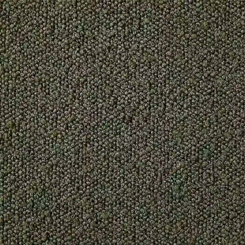 Quinn Olive Green Boucle Dining Chair  - Brass Colour Legs