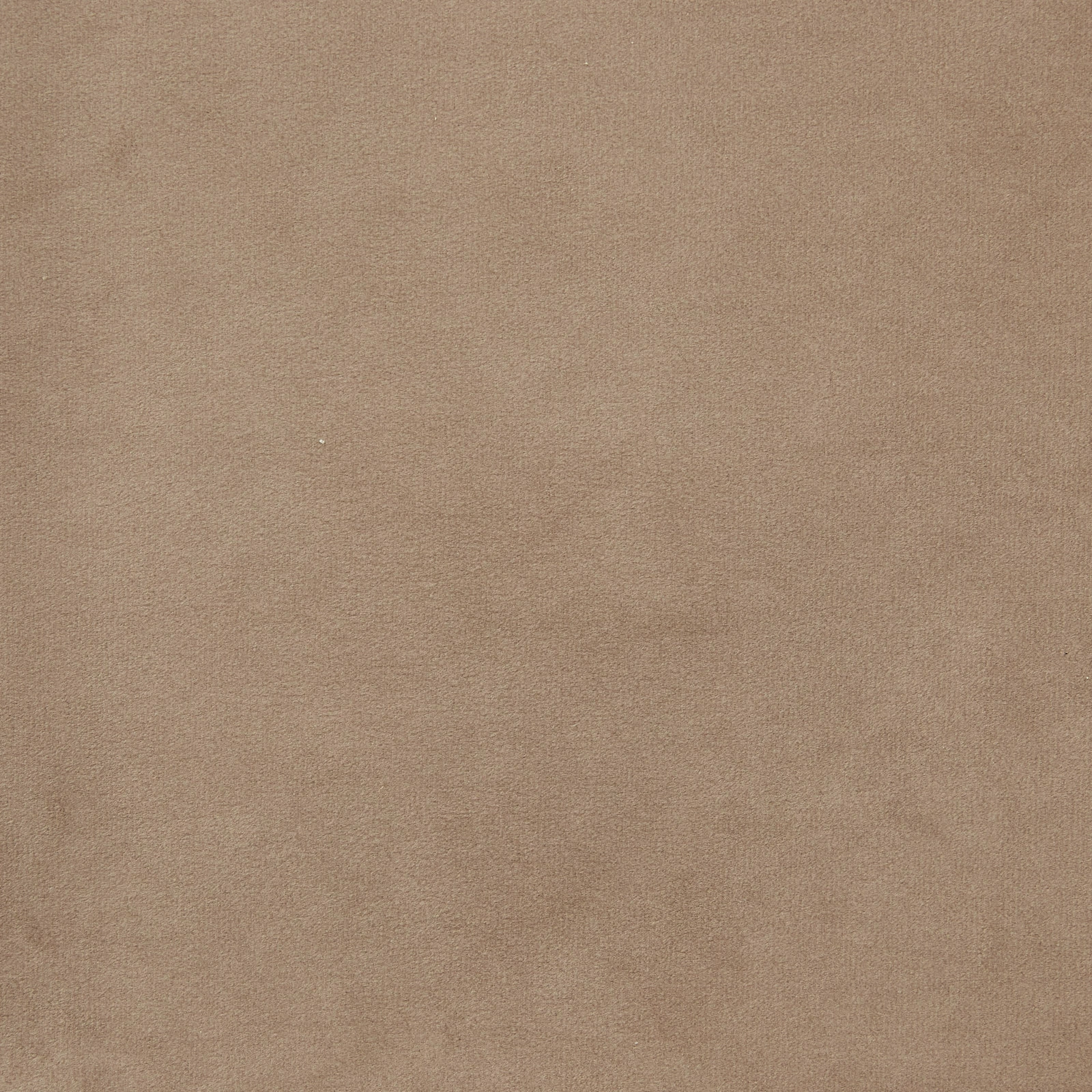 Berdine Beige Velvet Occasional Chair