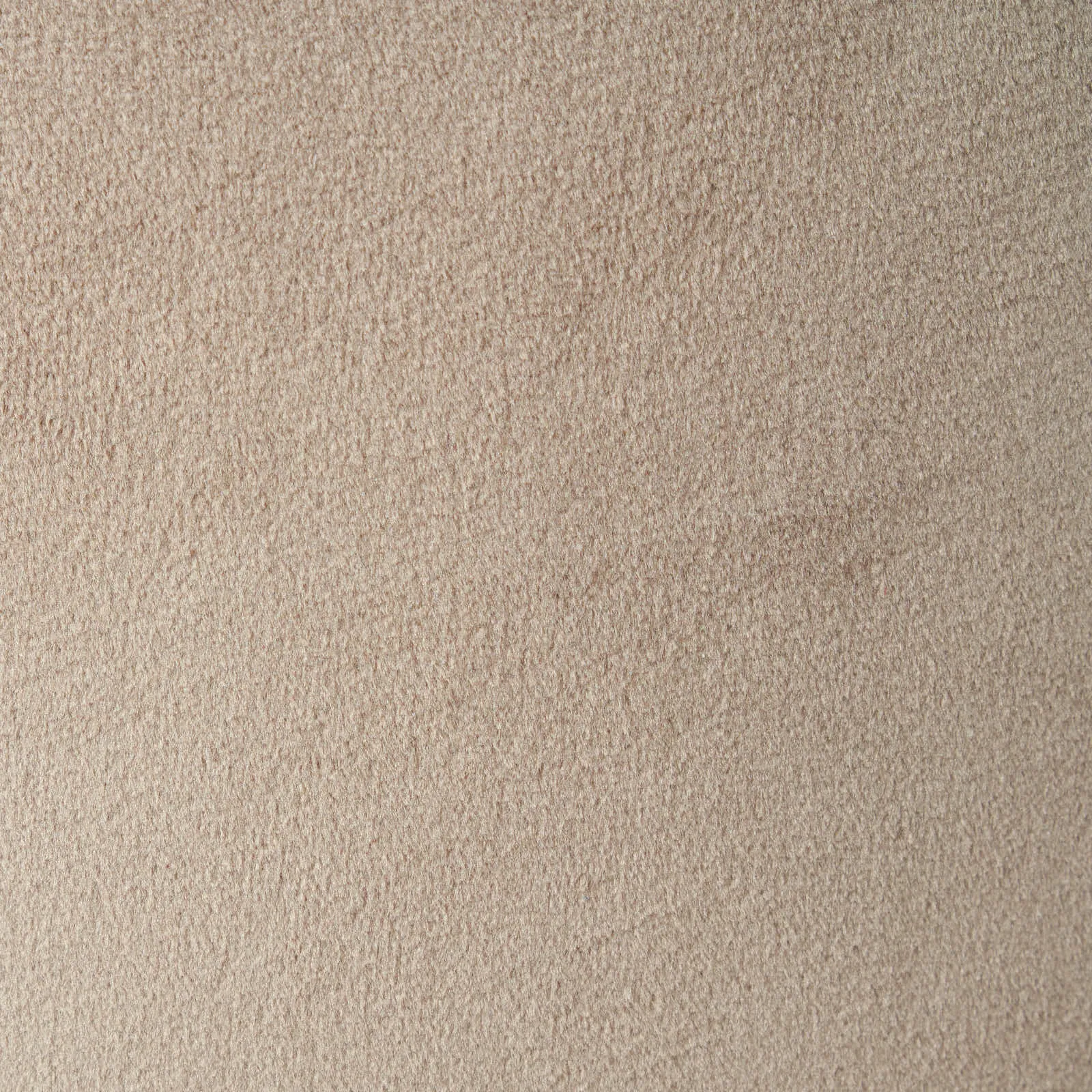 Quinn Beige Velvet Barstool - Black Legs