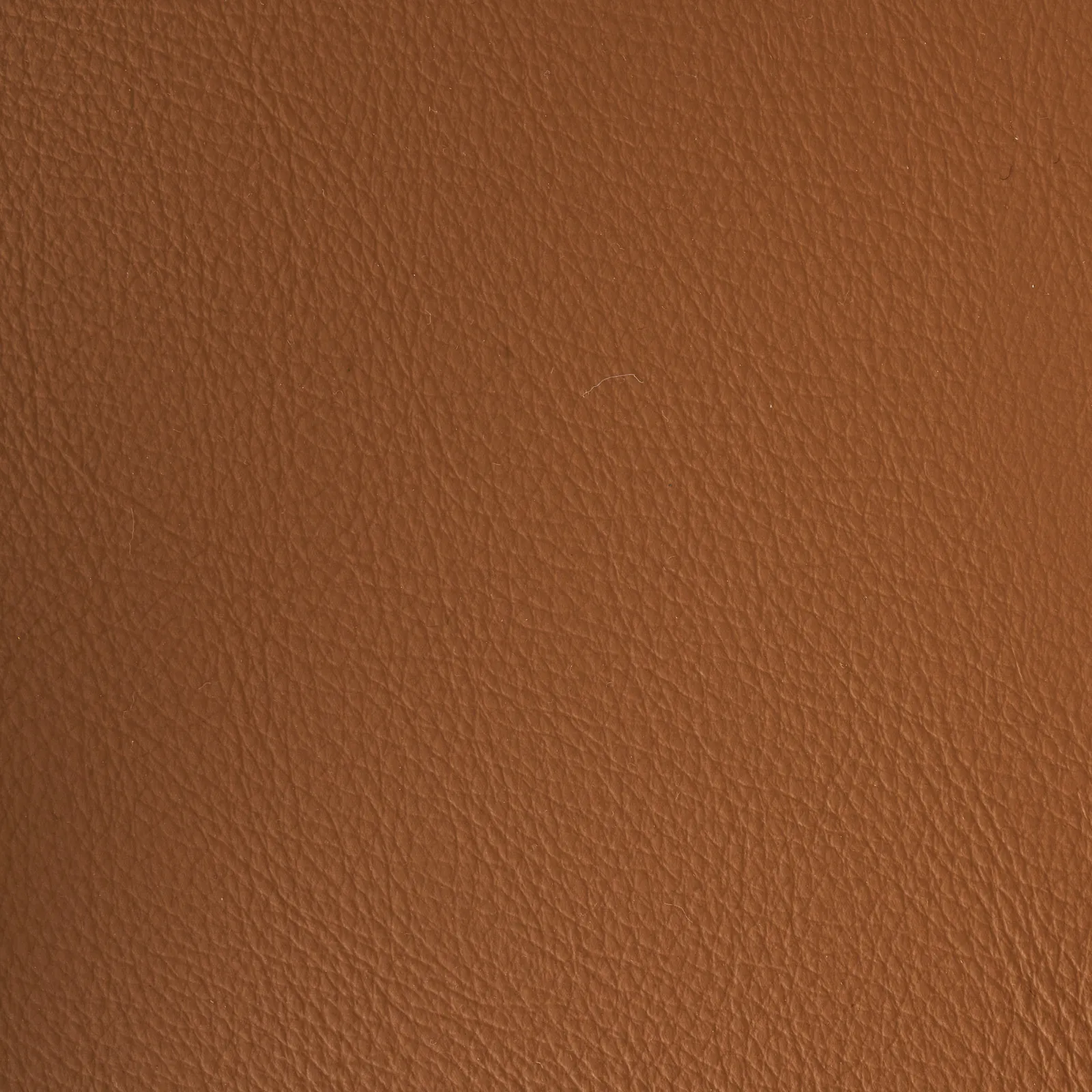 Moulin Walnut Vegan Leather Dining Chair - Brushed Gold Legs