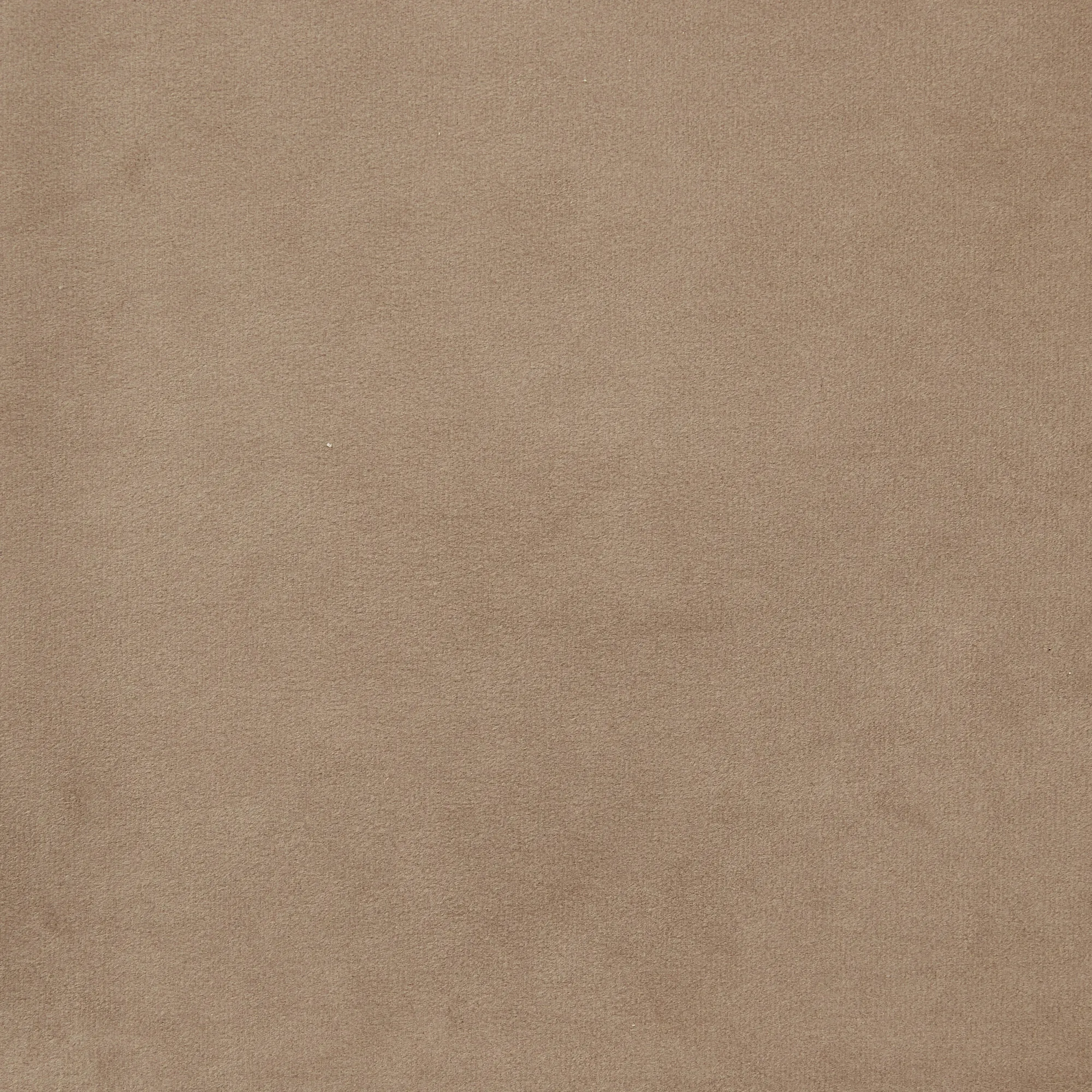 Delaney Beige Velvet Dining Chair