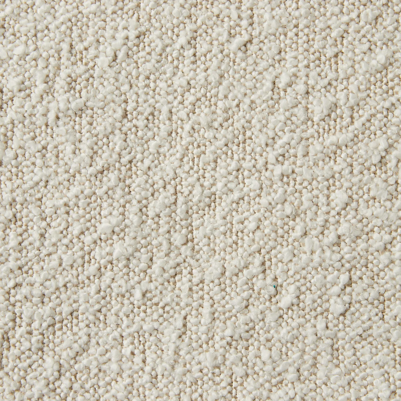 Galen Cream Boucle Dining Chair - Coffee Oak Frame