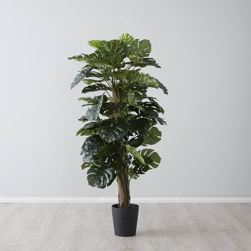 Monstera II 180cm Decorative Plant | Koala Living