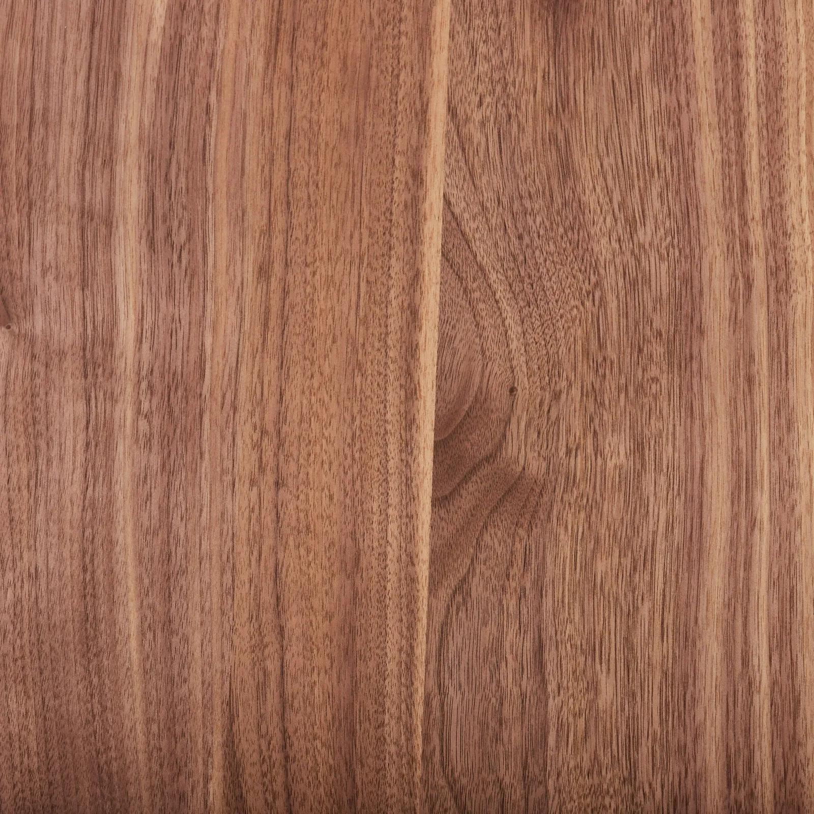 Dylan Walnut Veneer Curved Table