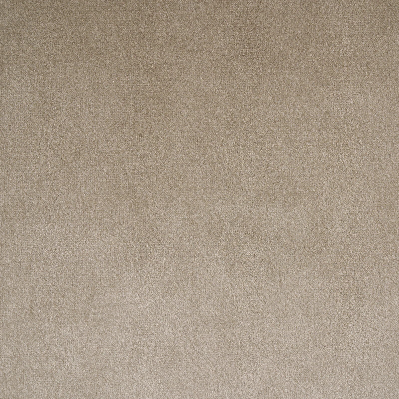 Polina Light Beige Velvet Dining Chair - Bronze Legs