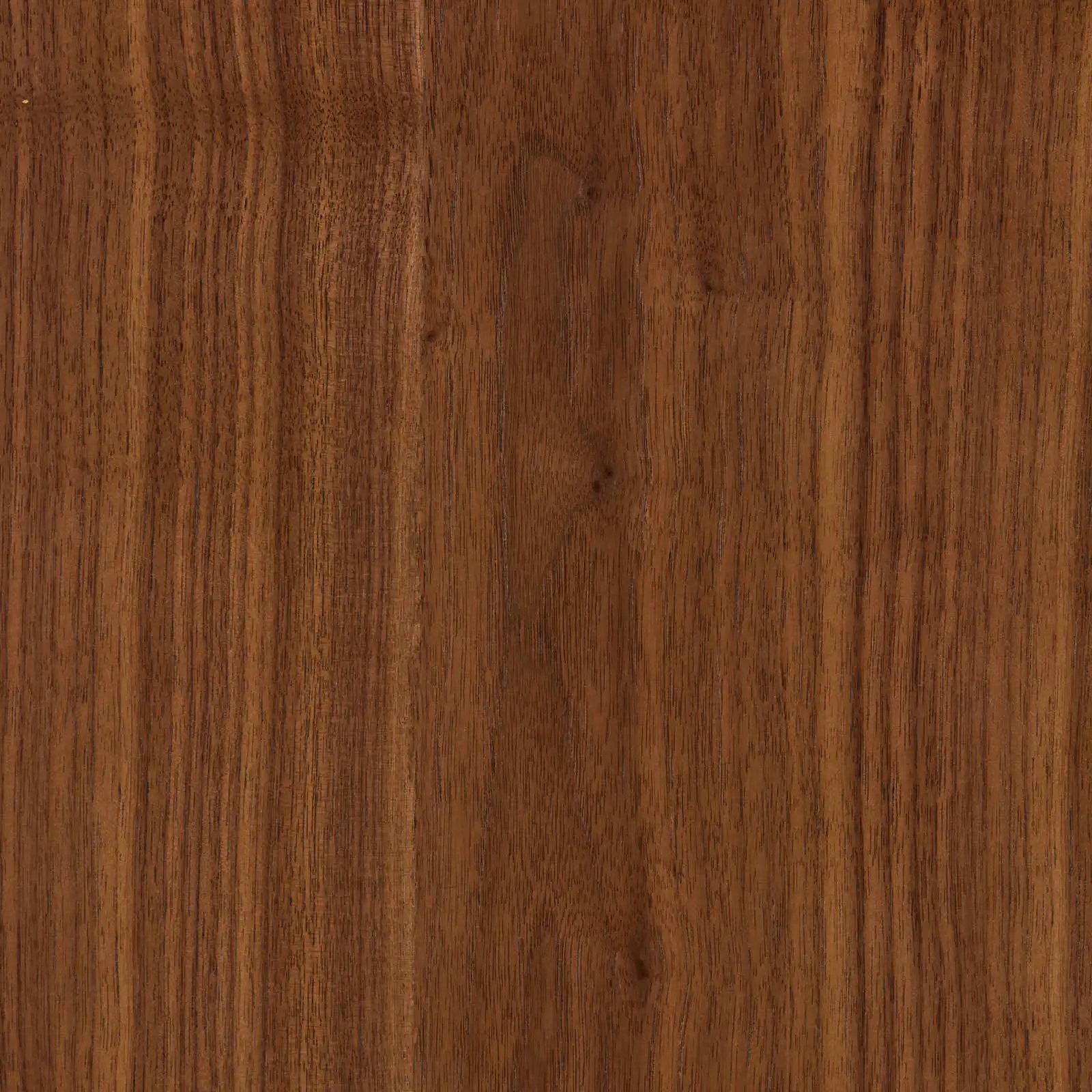 Terzetto Kids Mocha Walnut Bookshelf