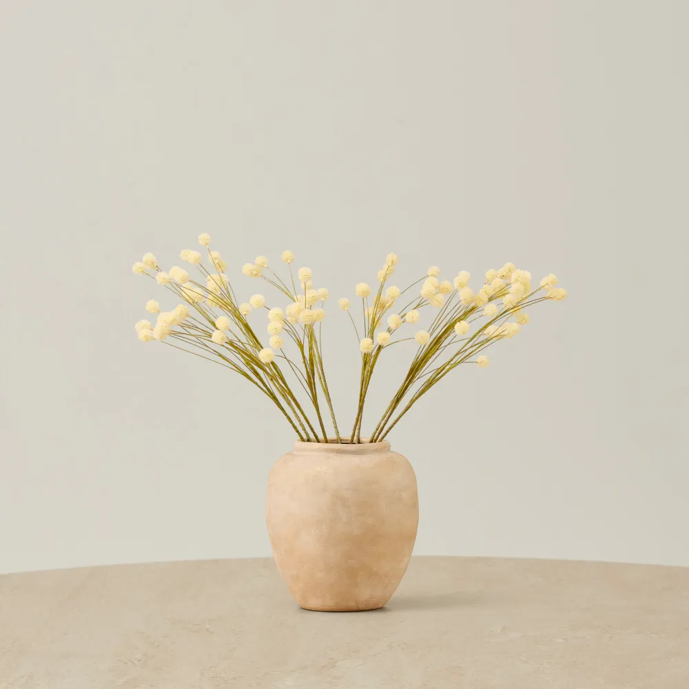 Anneli Onion Fruit Stem