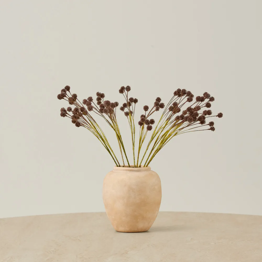 Pilar Onion Fruit Stem