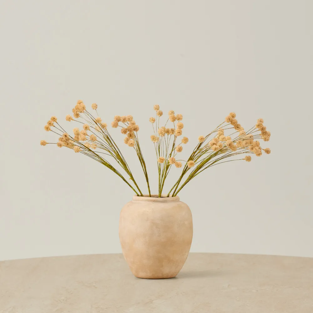 Fernanda Onion Fruit Stem