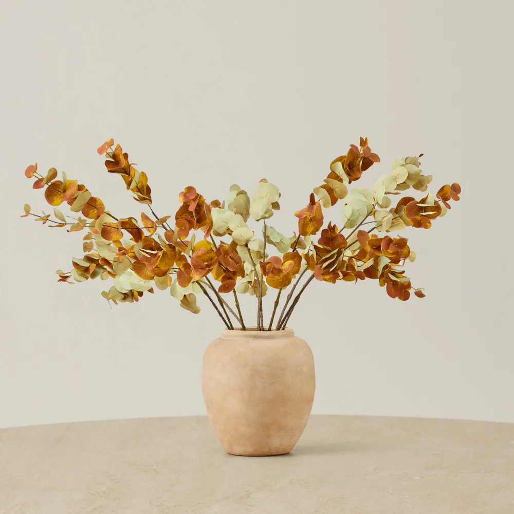 Alves Eucalyptus Stem