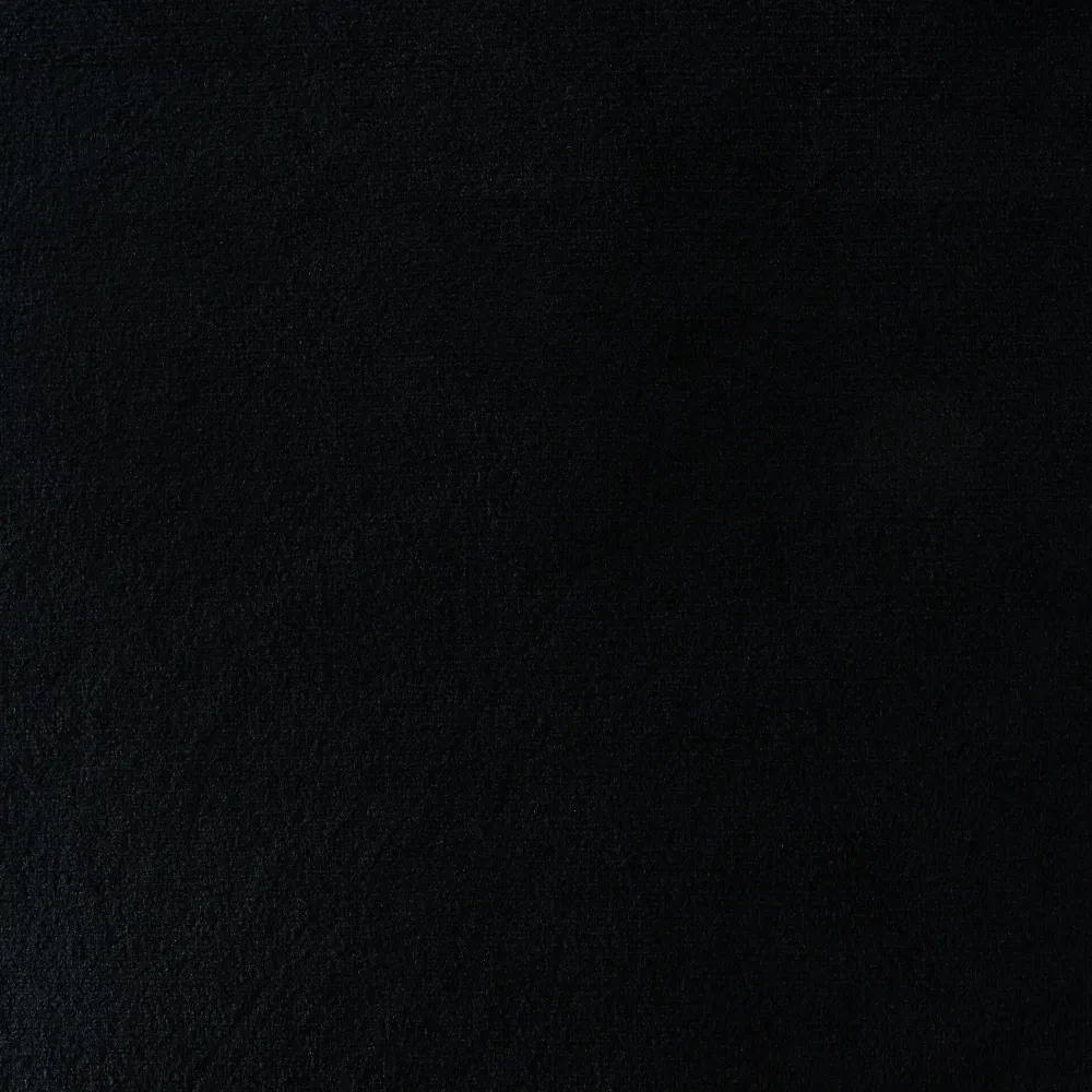 Remi II Black Velvet Cushion