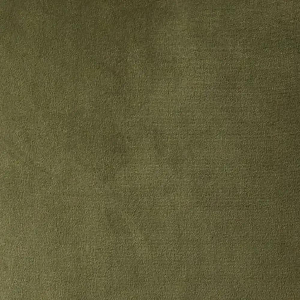 Remi II Grass Green Velvet Cushion