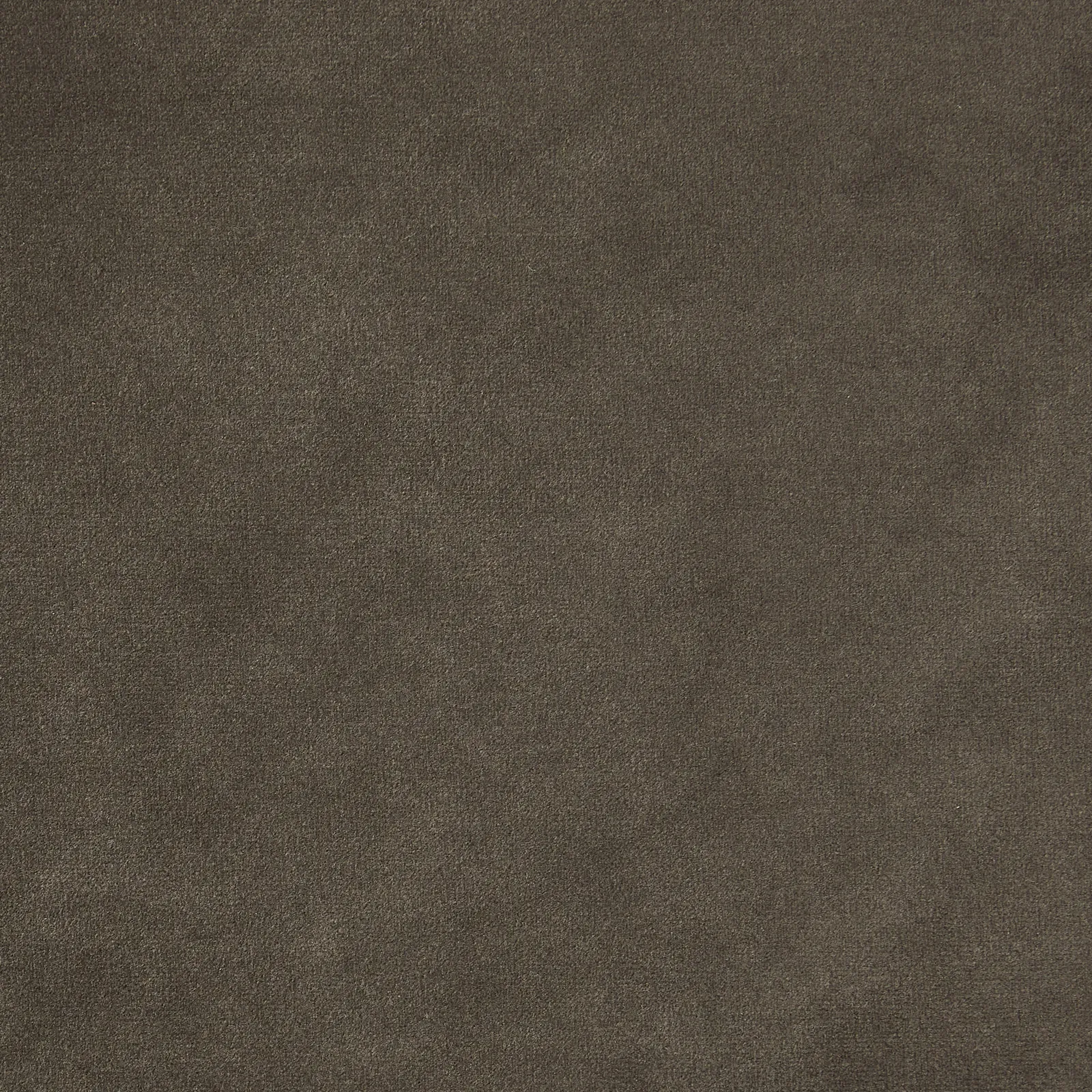 Astoria III Mushroom Velvet Occasional Chair